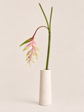 Tak Heliconia