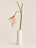 Tak Heliconia