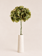 Tak Hortensia diepgroen