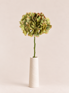 Tak Hortensia