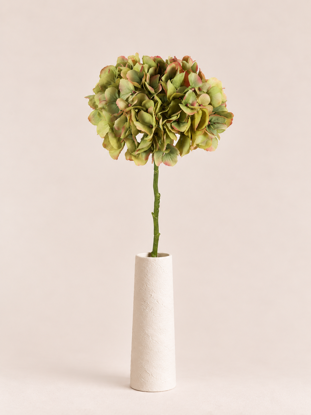 Tak Hortensia