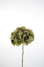 Tak Hortensia diepgroen