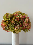 Tak Hortensia
